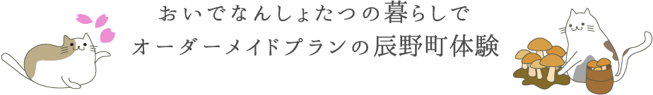 おいでなんしょたつの暮らしでオーダーメイドプラン辰野町体験