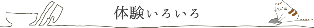 体験いろいろ