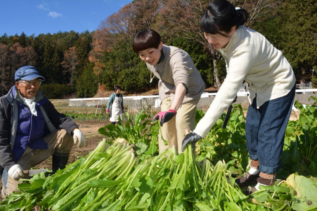 野沢菜漬け作りの移住者交流会・ (1)