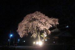 IMG_1962