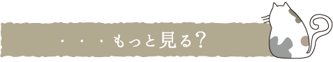 もっと見る