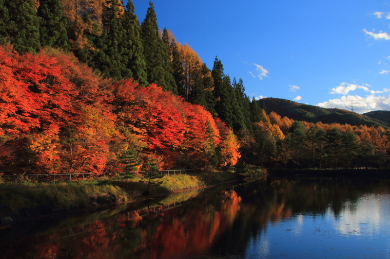平成29年度辰野町地域おこし協力隊 募集!! 信州辰野町移住・定住応援サイトたつの暮らし