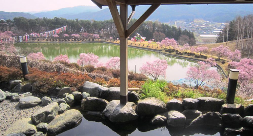 露天風呂　桜